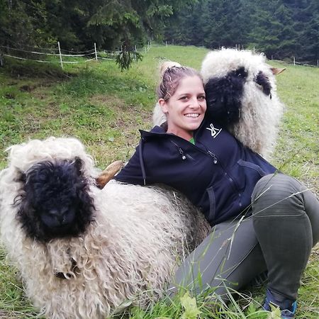 Boden Bergbauernhof Pabulariuヴィラ エクステリア 写真
