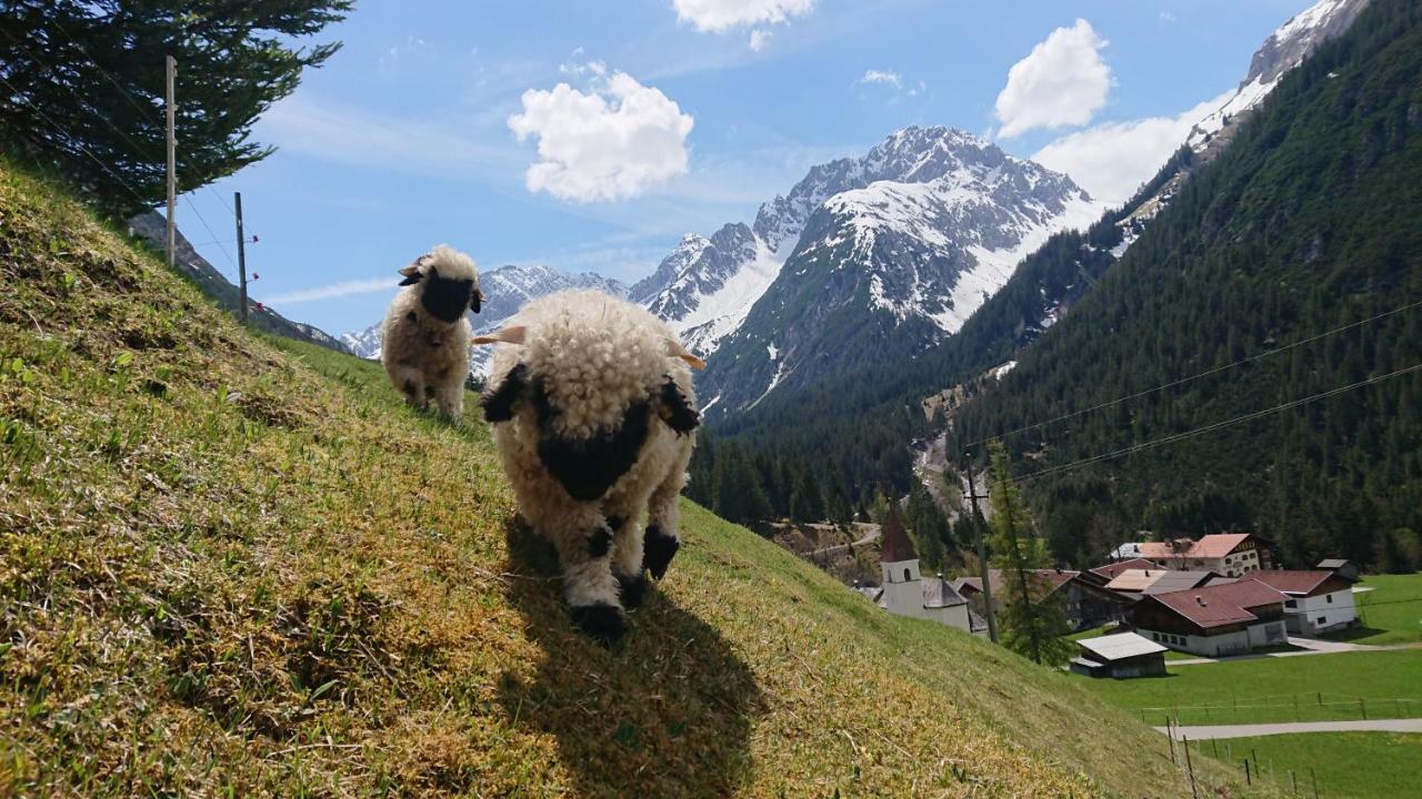 Boden Bergbauernhof Pabulariuヴィラ エクステリア 写真